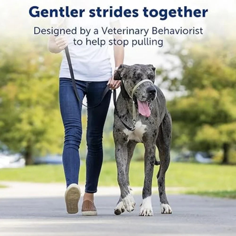 PetSafe Gentle Leader No-Pull Large Dog Headcollar Purple + DVD (60-130 lbs)
